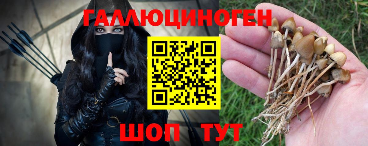 Псилоцибиновые грибы прущие грибы Барнаул