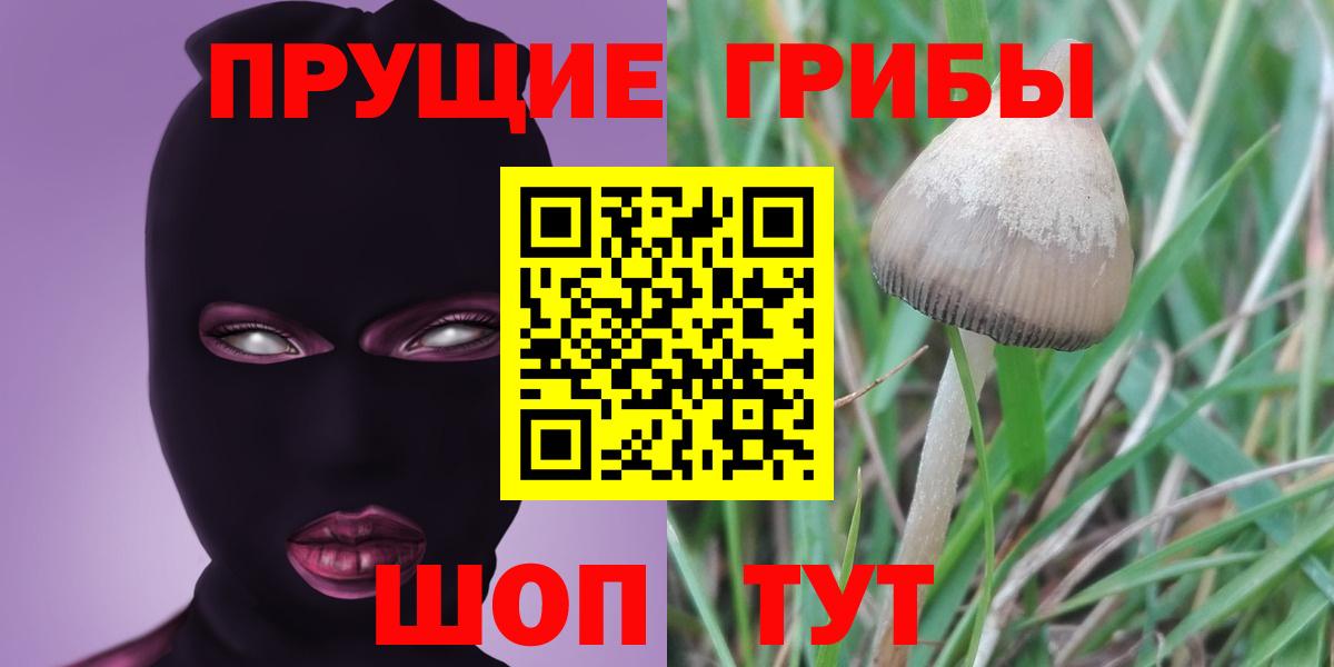 Барнаул  Псилоцибиновые грибы ЛСД  Вход с VPN 